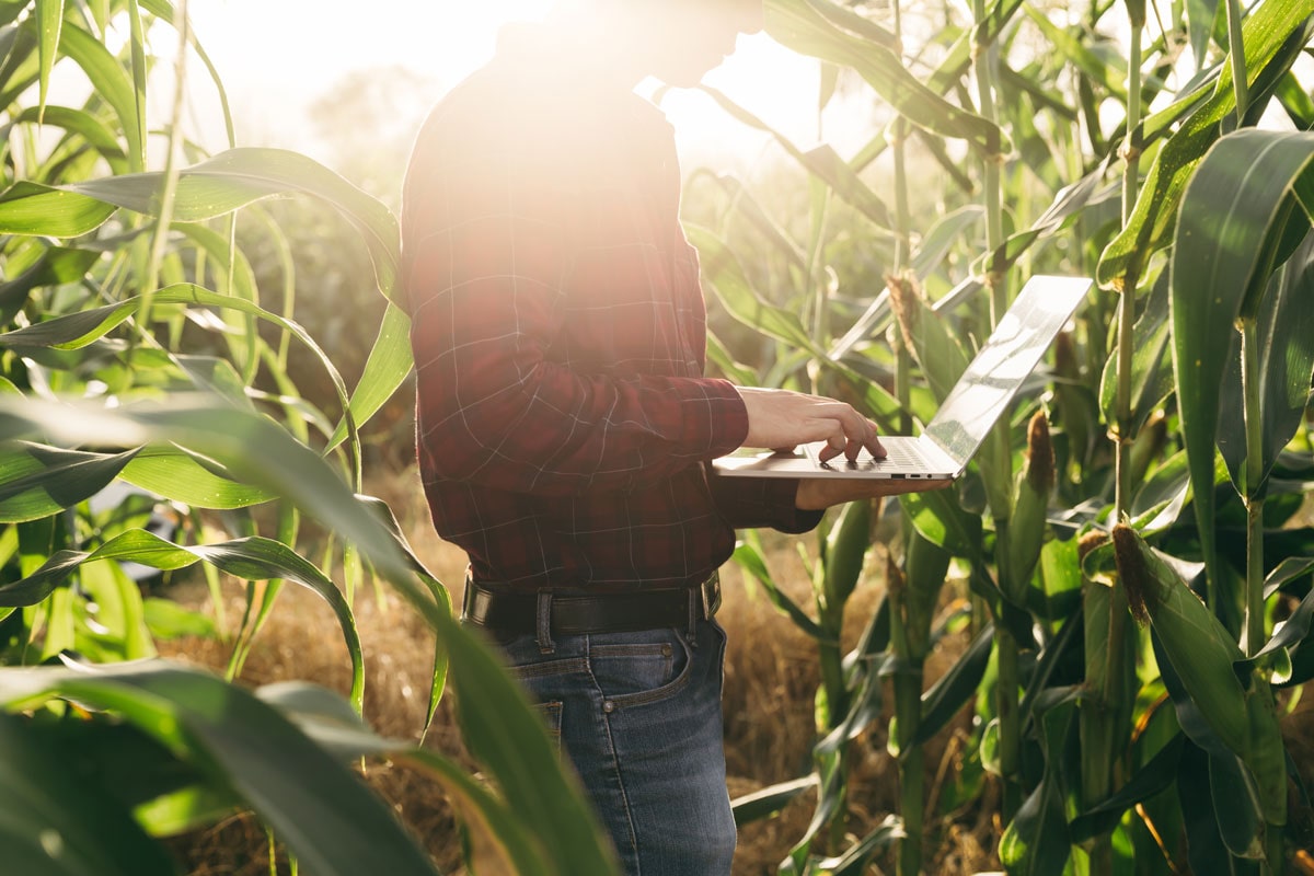 Green Loans for Agriculture: Financing Climate-Resilient Yields and Agriculture Equipments