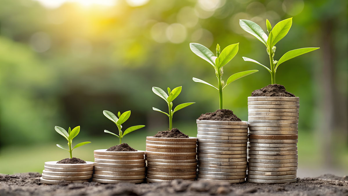 How to Finance Your Farm or Local Business?